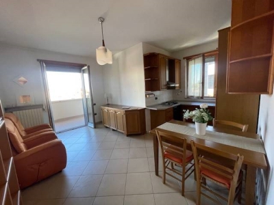 immagine annuncio 5 di 9