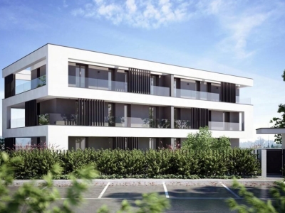 immagine annuncio 2 di 7