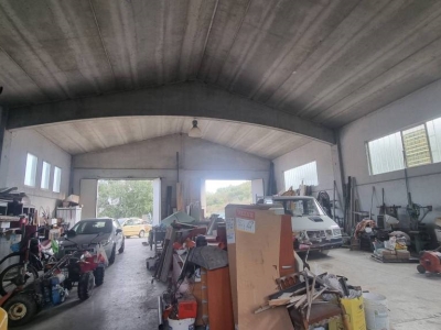 immagine annuncio 3 di 9