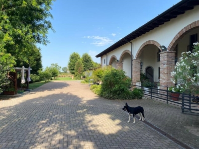 immagine annuncio 4 di 9