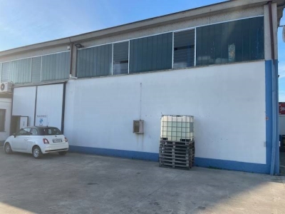 immagine annuncio 1 di 9