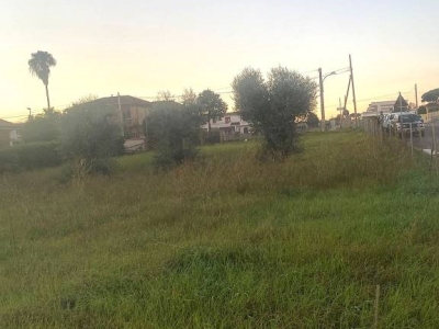 immagine annuncio 4 di 7