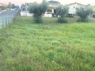 immagine annuncio 6 di 7