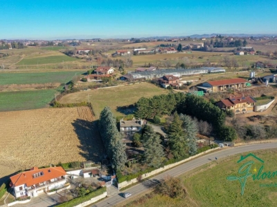 immagine annuncio 3 di 9