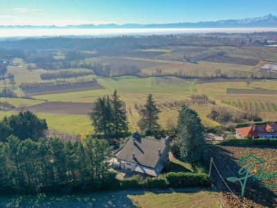 immagine annuncio 4 di 9