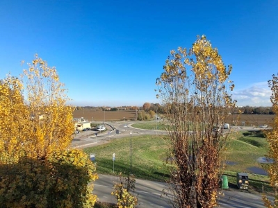 immagine annuncio 4 di 9