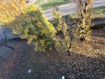 immagine annuncio 5 di 9