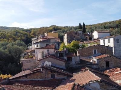 immagine annuncio 3 di 9