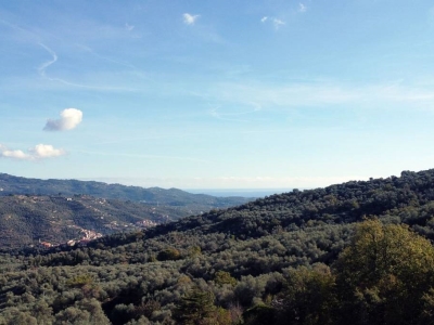 immagine annuncio 6 di 9