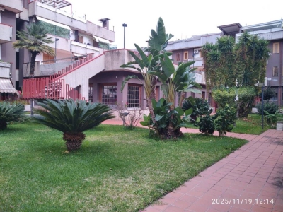 immagine annuncio 1 di 9