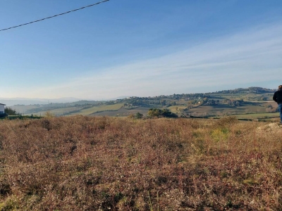 immagine annuncio 6 di 9