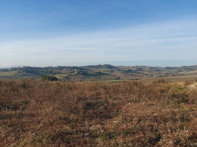 immagine annuncio 5 di 9