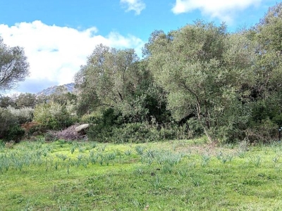 immagine annuncio 2 di 9