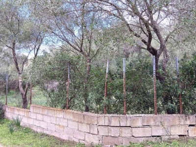 immagine annuncio 3 di 9