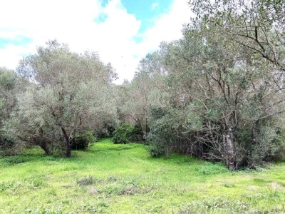 immagine annuncio 6 di 9