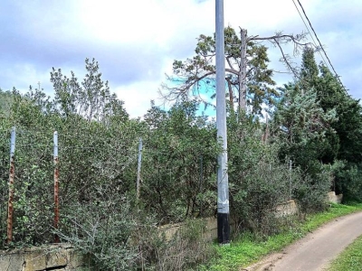 immagine annuncio 7 di 9