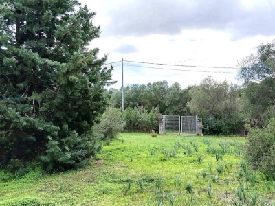 immagine annuncio 8 di 9