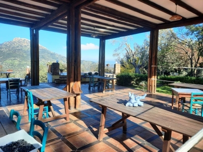 immagine annuncio 7 di 9