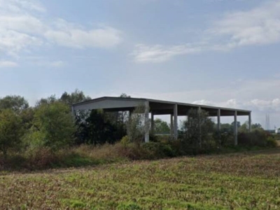 immagine annuncio 2 di 6