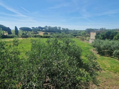 immagine annuncio 6 di 9