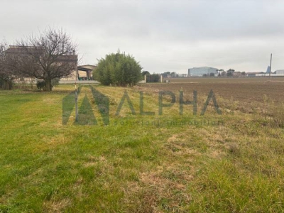 immagine annuncio 6 di 8