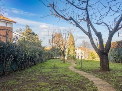 immagine annuncio 4 di 9