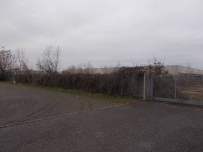 immagine annuncio 3 di 9