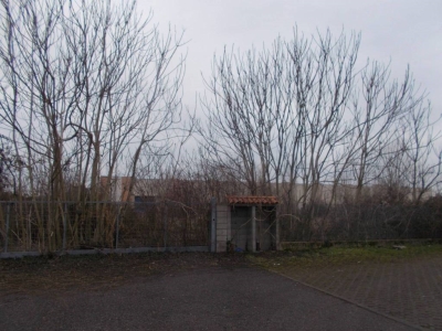 immagine annuncio 6 di 9