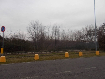 immagine annuncio 8 di 9