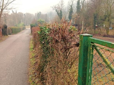 immagine annuncio 3 di 9