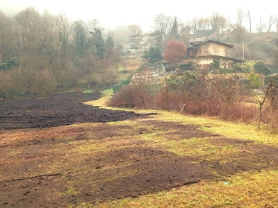 immagine annuncio 4 di 9