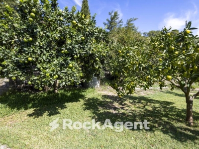 immagine annuncio 5 di 9