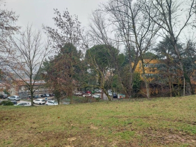 immagine annuncio 3 di 9