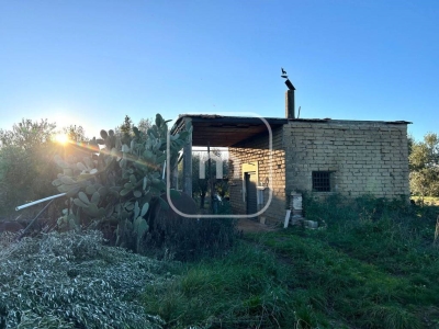 immagine annuncio 2 di 9