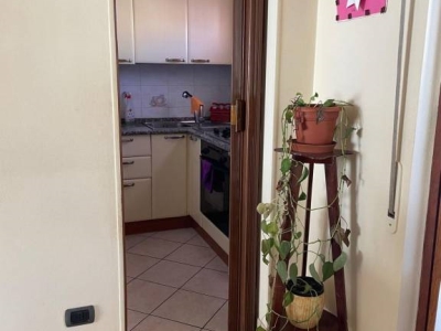 immagine annuncio 2 di 9