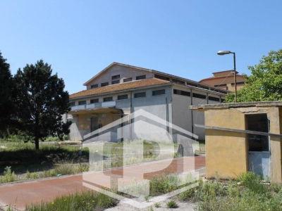 immagine annuncio 3 di 9