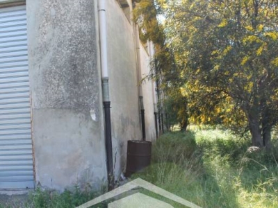 immagine annuncio 5 di 9