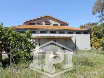 immagine annuncio 8 di 9