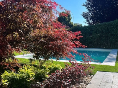 immagine annuncio 3 di 9