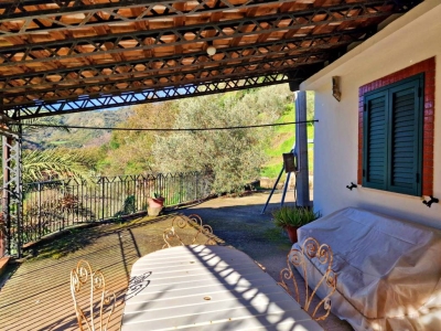 immagine annuncio 3 di 9