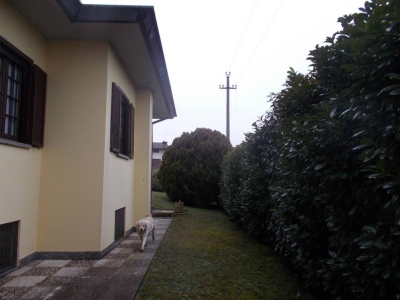 immagine annuncio 3 di 9