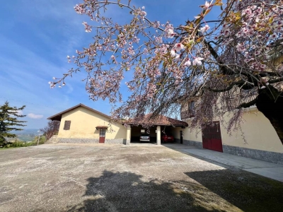 immagine annuncio 4 di 9