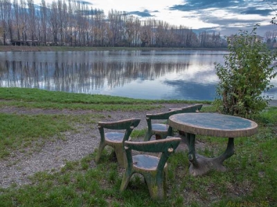 immagine annuncio 5 di 8