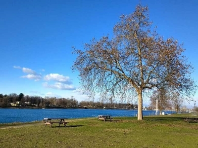 immagine annuncio 6 di 8