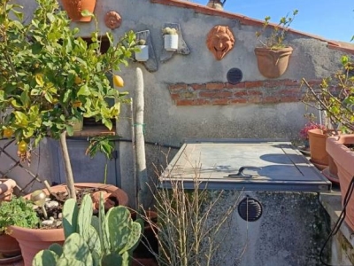 immagine annuncio 3 di 9