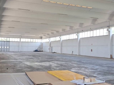 immagine annuncio 3 di 9