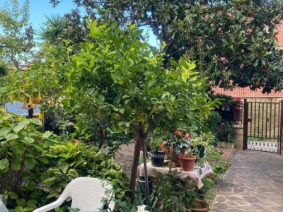 immagine annuncio 2 di 9
