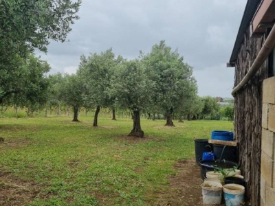 immagine annuncio 7 di 9