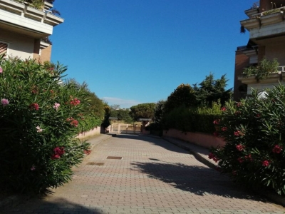 immagine annuncio 7 di 9