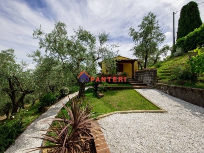 immagine annuncio 3 di 9